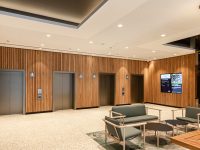 189 Grey Street - Tarquin Lisle (21)